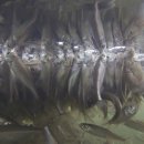 호수모텔 이미지