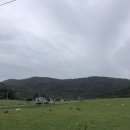 동네빵집PAO 이미지