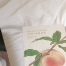 달콤주의보 이미지