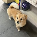 금강자동차공업사 이미지