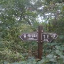 입석리 농로 15 이미지