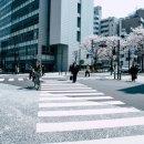 상업용 44 이미지