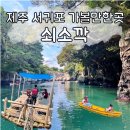 쇠소깍로 | 제주 서귀포 가볼만한곳, 쇠소깍 테우 카약 할인 탑승 후기