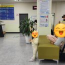 인구보건복지협회 울산광역시지회 가족보건의원 네이버블로그