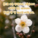 사상최초 종료직전에 터진 대역전극＜한국&amp;사우디아라비아 하일라이트＞ 이미지