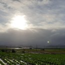 탁이농장 이미지