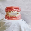 와온치과 네이버블로그