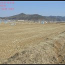 신양면 만사보건진료소 이미지