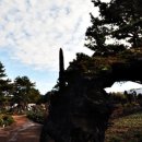 말이랑흑도새기랑 이미지