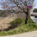 달산팜