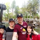 남이섬리조트4 이미지