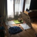 도리약국 이미지