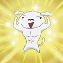 더마름다이어트 이미지