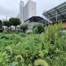 부영1차아파트 앞 이미지