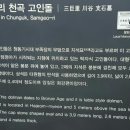 삼거리천곡고인돌 이미지