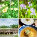 (주)한국파비스제약 | 푸른수목원 숲해설 <걸어서 수목원 속으로> 참여후기