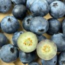 달코미상회 이미지