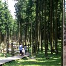 절물생태관리소 (절물자연휴양림) 이미지