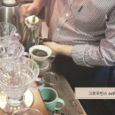 그로우빈스