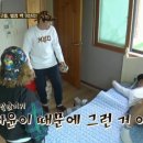 풀뜯소 농장 이미지