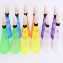 배드민턴 이미지