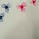 플러스펜화 이미지