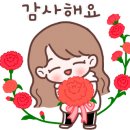 송도그레이스토익