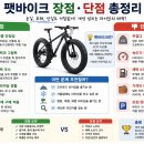 무성자동차정비 | 🚜 "도로 위의 탱크" 팻바이크 장단점 솔직 후기 및 완벽 가이드 📌