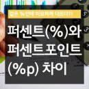 퍼센트 티스토리