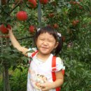 선단꿈나무어린이집 이미지