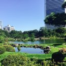차경원 이미지