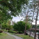 마북근린공원 이미지