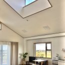 천년비자 이미지