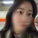눈숲