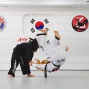 을지관드림합기도 네이버블로그