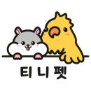 티니펫 이미지