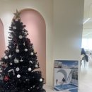 ㅈㅇ | 💍 ㅈㅇ웨딩 vs ㄷㅇㄹㅌ 스드메 플래너 상담 후기 – 결국 내 선택은?(스드메견적, 결혼준비 필독)