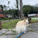 지산어린이공원 이미지