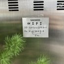 수우정보 이미지