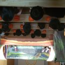 임실원광어린이집 이미지