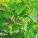 문화공간 이육사 앞 공원 이미지