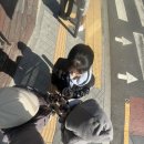 서브웨이 앞 횡단보도 이미지