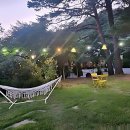 속리산 와~유펜션 | 속리산 근처 찐감성 숙소 찾았다! 솔향기펜션