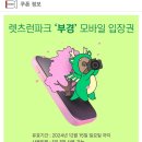 비블루밍 Daum카페