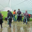 도학농장 이미지