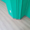 브라운포레
