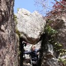 완주체육관 이미지