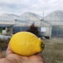 죽산농장 이미지