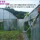 송동면 백평마을 이미지