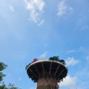 씨유창원대원에뜰점 | [후기] 임시 개방한 창원 빅트리 걸어서 탐방기